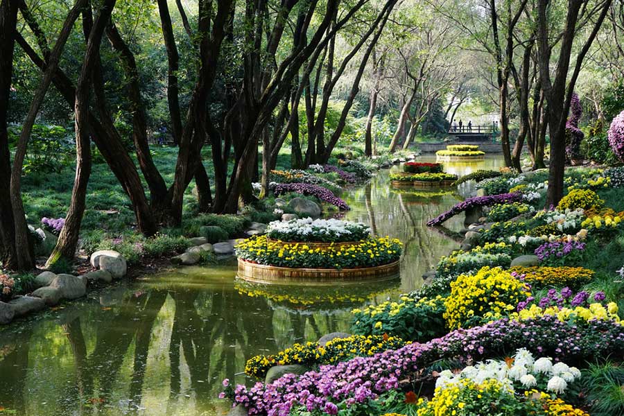 上海共青森林公园基地